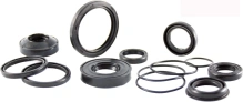 Gufero RMS 100669300 valve stem RMS.100669300