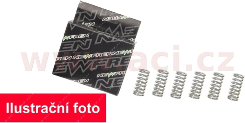 Sada spojkových pružin, NEWFREN - Itálie M750-022