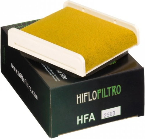 Vzduchový filtr HIFLOFILTRO HFA2503 723.15.33